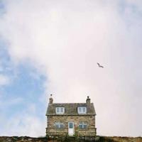 对亲情冷淡失望的句子50句/失望短句