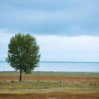 覆了天下也罢只不过一场繁华的散文