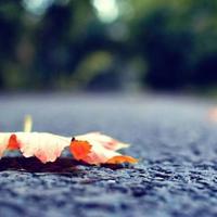 生活，其实是这样一个过程