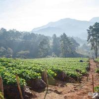 郭敬明经典伤感语录、郭敬明青春经典语录