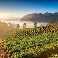 快乐地过好每一天