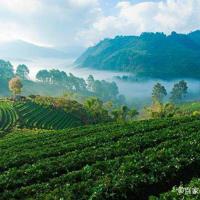 饶雪漫比较不错的经典语录 沙漏记得,我们遗忘的时光