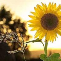 握住分手时的痛