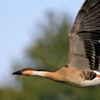 对亲情冷淡失望的句子50句/失望短句