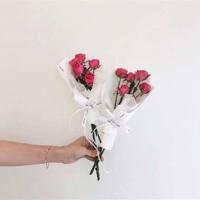 失去的东西,其实从来未曾真正地属于你,也不必惋惜