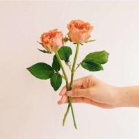 女人一定要有韵味,男人一定要有品味