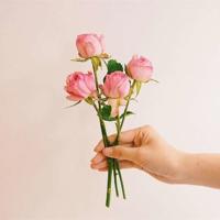 想要的回忆慢慢变深,再记忆里飞扬