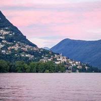 幽默的动物最雷人