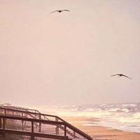 你若不坚强，没有人会替你勇敢。