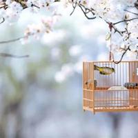 正能量的句子经典语句,励志的句子致自己简短