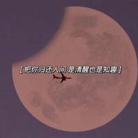 星河入梦，落花成雪