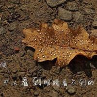 你伤害他们有多深