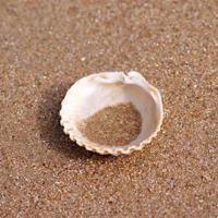 「今日作家」李占忠 ‖ 音乐,让心灵悸动(散文)