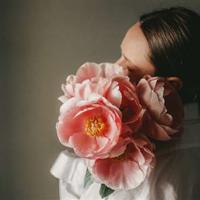 60后岁月：那夏日的荷塘