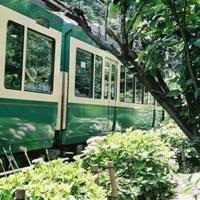 正能量文字非主流图片_心中一定充满光