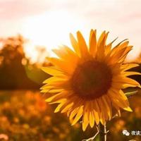 经典肥岳乱小说 他的舌头弄得我爽水好多