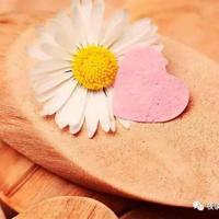 穷追不舍的爱情一定是悲剧