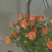 只要爱着，就是幸福的