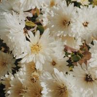 早安励志正能量霸气一句话，早安句子