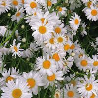 人生不会太圆满，要学会一笑而过。