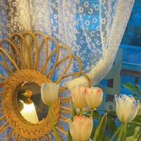 感悟生活的文章