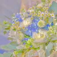 一句修心养性的句子话语|修身句子