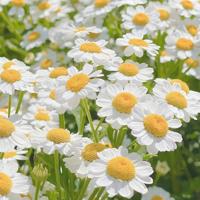 致自己简短励志的句子