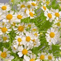 那些被雪埋葬的岁月