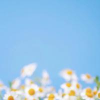 时光深处的小镇（组诗）