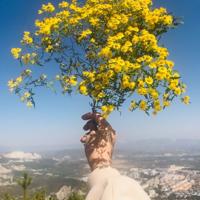 张爱玲冷眼看世、冷眼看人粉丝经典语录