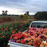 那些年我们不谈爱情