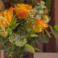 黄蓉在第957天离开