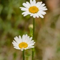 我已忘记了全世界,因为你就是我的全世界。想念母亲的句子