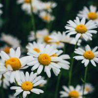 工作励志名言,职场励志名言