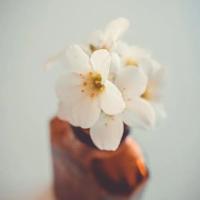 坏事到头终有报