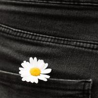 没有你，我的世界面目全非