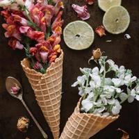 因果诡事之正与邪