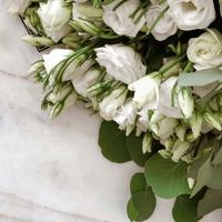 结婚祝福短信,送最美的祝福