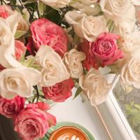 青春励志语录,送给年轻人的话