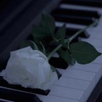 朋友圈低调祝福自己生日快乐的句子说说精选