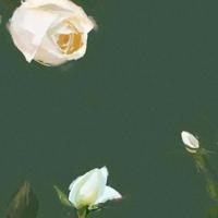 为自己寻找方向