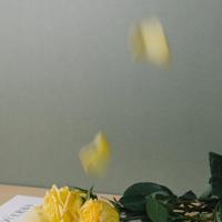 等待丈夫的妻子