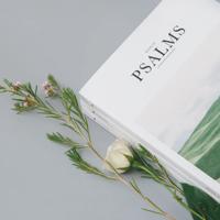 2019清明节朋友圈祝福语平安问候说说大全精选