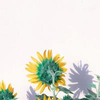 做妻子的这类女人伤不起啊