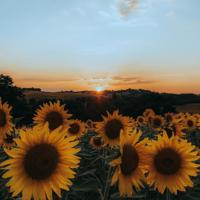 不要辜负女孩，更不要捡地上的东西