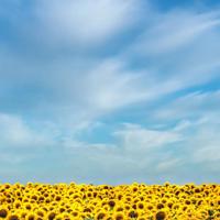 登船只需一瞬间，何必苦等多年