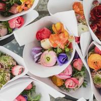 苏小小，不一样的尘世烟花