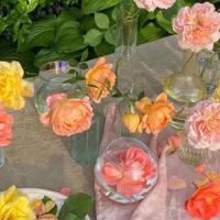 因为爱，所以撒娇