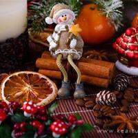 小学生人物外貌描写片段