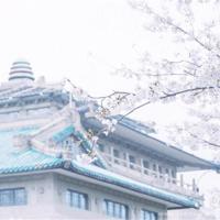 关于李宇春的一些经典语录